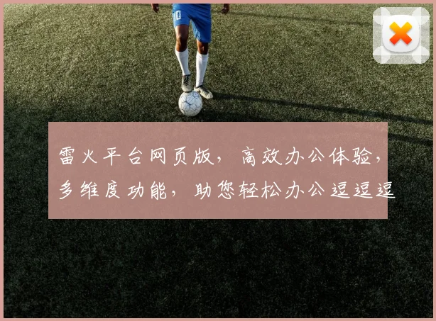 雷火平台网页版，高效办公体验，多维度功能，助您轻松办公逗逗逗