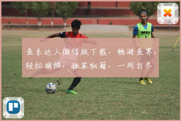 鱼乐达人微信版下载，畅游鱼界，轻松捕捞，独家秘籍，一网打尽