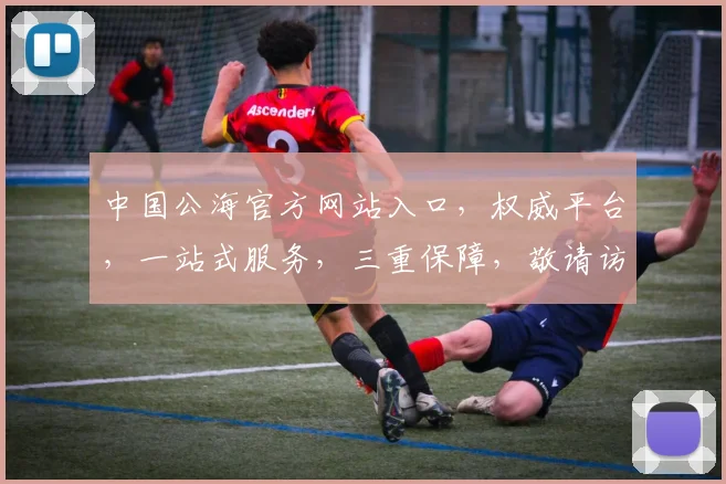 中国公海官方网站入口，权威平台，一站式服务，三重保障，敬请访问，体验非凡
